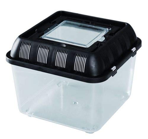 ReptiZoo Plastik Terrarium (Flat Box) Mini 20,5x20,5x17 cm (RT2001B) von ReptiZoo