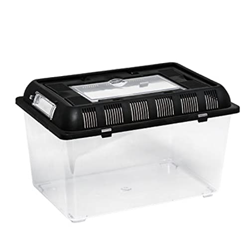 ReptiZoo Plastik Terrarium (Flat Box) medium 32,5x22x21 cm (RT2003B) von ReptiZoo