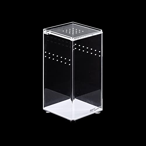 ReptiZoo Terrarium, Acryl, transparent, 7,5 x 7,5 x 15 cm von ReptiZoo