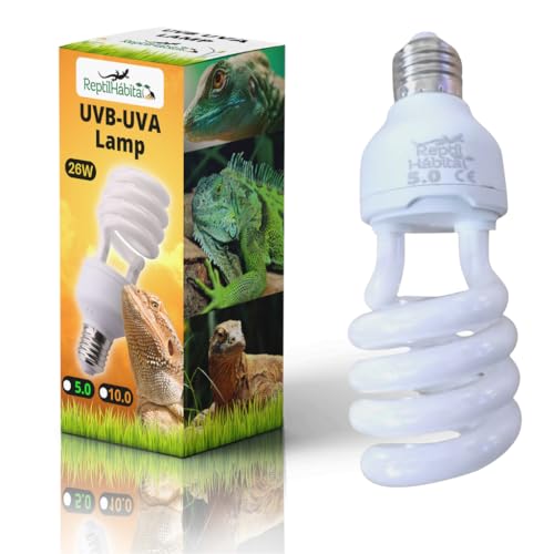 ReptilHábitat UVB 10.0 UVA 26W Lampe für Terrarien mit Reptilien, Pflanzen und Schildkröten, E27-Lampe – Ideal für Schildkröten und Bartagamen ReptilHábitat UVB 10.0 UVA 26W Lampe für Terrarien mit Reptilien, Pflanzen und Schildkröten, E27-Lampe – Ideal für Schildkröten und Bartagamen von ReptilHábitat
