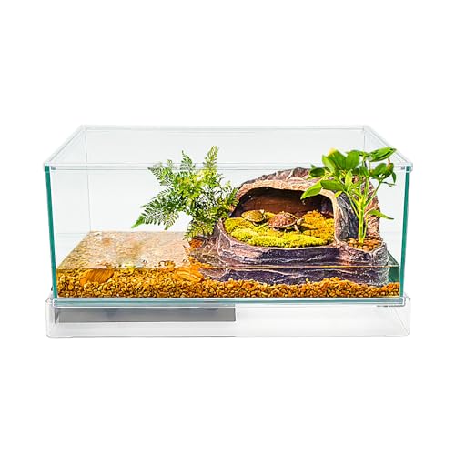 Glas-Schildkrötenbecken Tank O360°Ansicht randloser Glasbehälter für Baby Schildkröten, kleines Fischaquarium, einfach zu reinigen von Reptile Growth