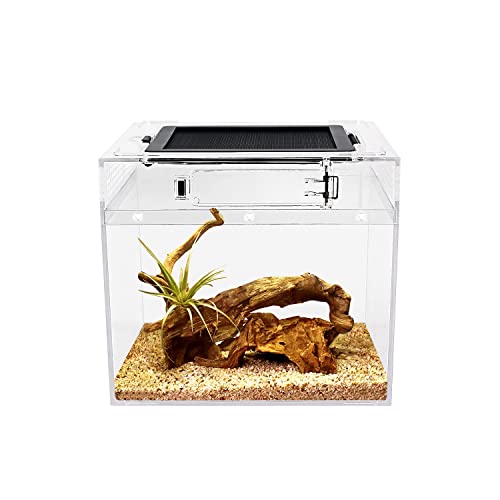 Mini-Reptilien-Terrarium, 20,3 x 20,3 x 20,3 cm, Mini-Reptilienbecken mit voller Sicht, visuell ansprechend, explosionsgeschütztes Glas, für Reptilien und Amphibien von Reptile Growth