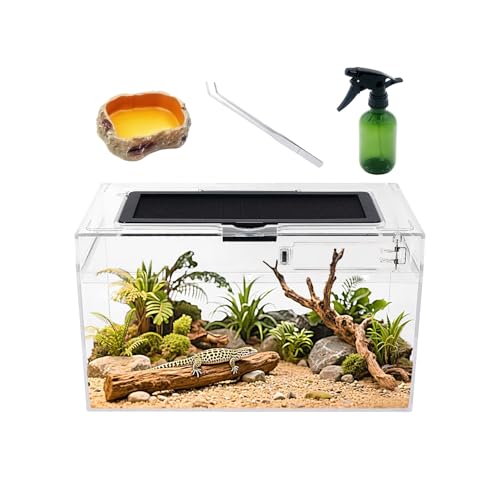 Mini-Reptilien-Terrarium-Set, 30,5 x 17,8 x 15,2 cm, niedriges Reptilienbecken mit voller Sicht, visuell ansprechend, für Insekten, Fische, Vogelspinnen, Einsiedlerkrebse, springende Spinne, Leguan, Mini-Reptilien-Terrarium-Set, 30,5 x 17,8 x 15,2 cm, niedriges Reptilienbecken mit voller Sicht, visuell ansprechend, für Insekten, Fische, Vogelspinnen, Einsiedlerkrebse, springende Spinne, Leguan, von Reptile Growth