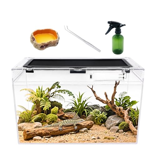 Reptile Growth Reptilientank, 40.6x20.3x25.4 cm Vivarium mit Schiebetür-Belüftung für kleine Fische, Insekten, Schnecken, Gecko, Tarantel, Bartdrachen, Stockinsekten, betendes Mantis von Reptile Growth