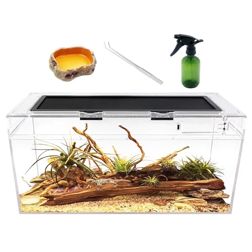Reptile Growth Reptilien-PC-Terrarien-Set, Reptilienbecken 50 x 25x 20 cm, für Insekt, Fisch, Tarantel, Einsiedlerkrebs, Springspinne, Leguan, Schildkröte, Leopardgecko, Frosch, Bartagame von Reptile Growth