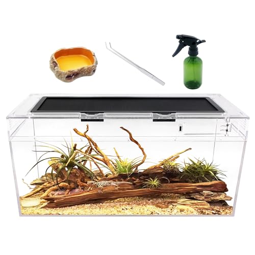 Reptile Tank 20X16X10 von Reptile Growth