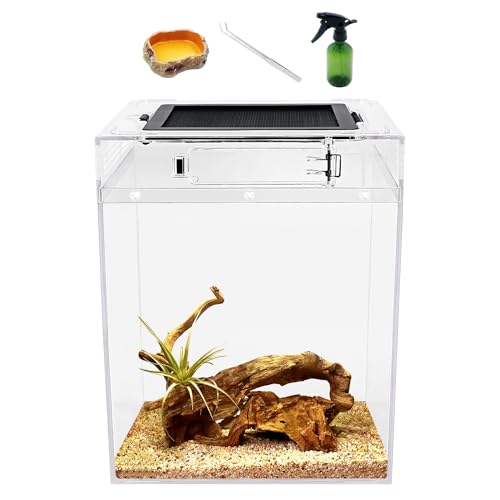 Reptile Growth hohes Terrarien-Set (PC), 20x 20x 28 cm Reptilienbecken mit oberem Schiebetürgitter Belüftung Reptilienterrarien für Schlange, Frosch, Insekt, Tarantel, Einsiedlerkrebs von Reptile Growth