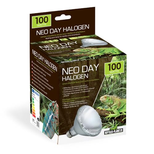 Neo Tag-Halogen, 100W von Reptiles-Planet