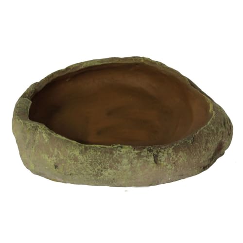 Reptiles Planet Becken Vogelhaus für Schildkröten Reptilien Repti Dish 14 x 4 x 11 cm L Reptiles Planet Becken Vogelhaus für Schildkröten Reptilien Repti Dish 14 x 4 x 11 cm L von Reptiles-Planet