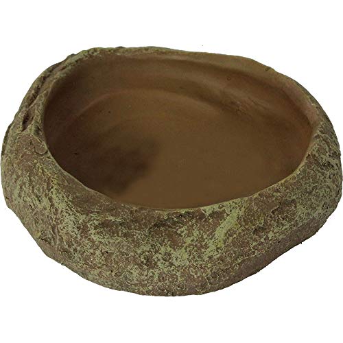 Reptiles Planet Becken Vogelhaus für Schildkröten oder Reptilien Repti Dish 12 x 11,5 x 3 cm M Reptiles Planet Becken Vogelhaus für Schildkröten oder Reptilien Repti Dish 12 x 11,5 x 3 cm M von Reptiles-Planet