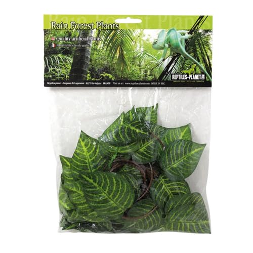 Reptiles Planet Cruise Jungle Vine for Terrarrium, 2.6 m von Reptiles-Planet