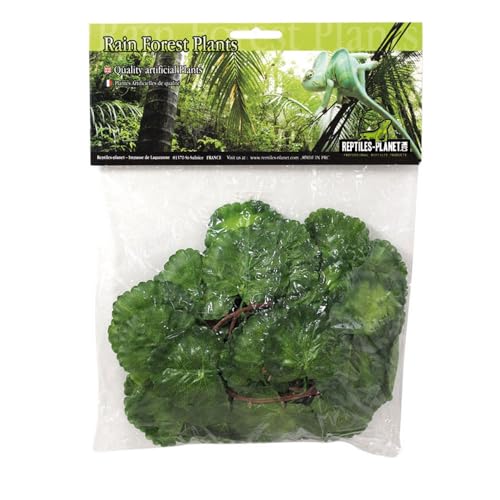 Reptiles-Planet Serengti Jungle Vine for Terrarrium, 2.6 m von Reptiles-Planet