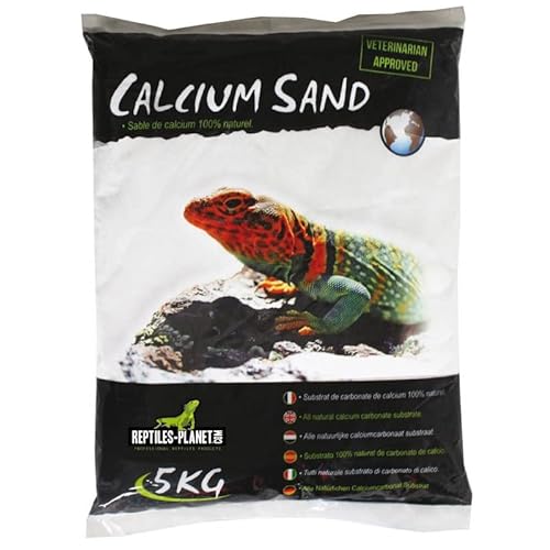 Reptiles Planet Katzenstreu Sand Calcium-Terrarium Kalzium Sand Artic weiß 5 kg von Reptiles-Planet
