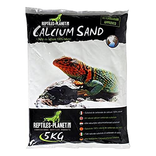 Reptiles Planet Katzenstreu Sand Calcium-Terrarium Kalzium Sand Sechura Natural 5 kg von Reptiles-Planet