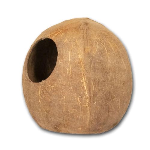 Reptiles Planet - Kokoshöhle – natürliches Versteck aus Kokosnuss für kleine Tiere Reptiles Planet - Kokoshöhle – natürliches Versteck aus Kokosnuss für kleine Tiere von Reptiles-Planet