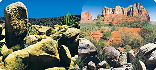 Reptiles-Planet Poster Desert Terrarium 2 Seiten 1, Rolle à 15 m, Höhe 50cm von Reptiles-Planet