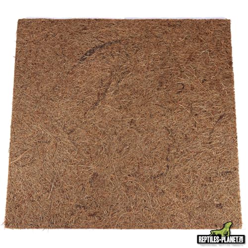 Reptiles Planet Rückwand für Reptilien/Amphibien Jungle Coco Background 50 x 50 x 1 cm von Reptiles-Planet