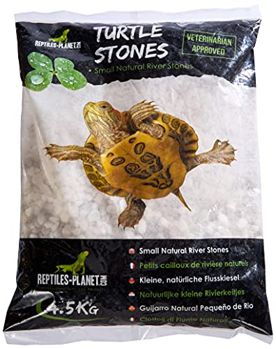 Reptiles Planet Turtle Stones Wasserschildkröte, klein, Naturfarben, 4,5 kg von Reptiles-Planet