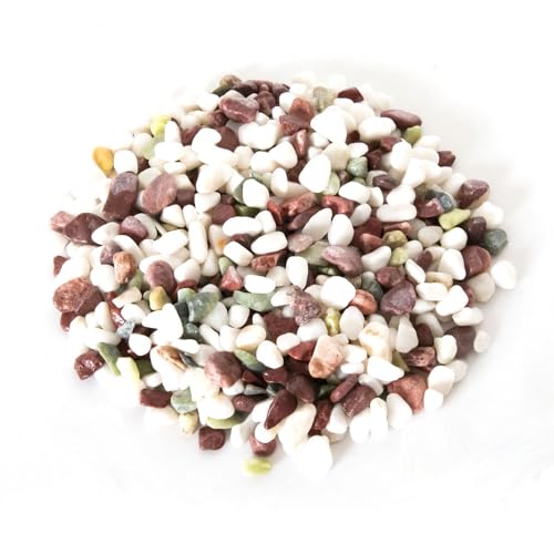 Reptiles Planet Turtle Stones natürliche Farben für Wasserschildkröten, 4,5 kg, Grau – Weiß von Reptiles-Planet