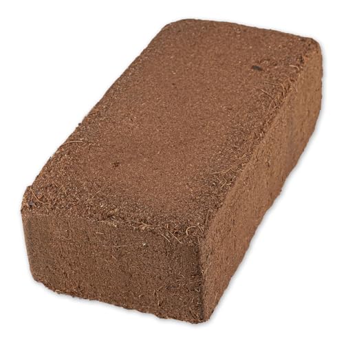 Waldbettwäsche Substrat für Reptilien, 5 kg Waldbettwäsche Substrat für Reptilien, 5 kg von Reptiles-Planet