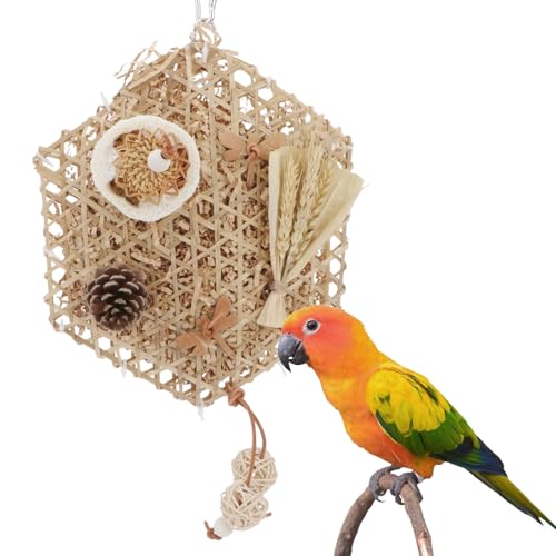 Reshiho Vogelspielzeug Vogelfuttersuche Schreddern Spielzeug Kauen Hängespielzeug Vogel geschreddertes Papier für Nymphensittiche Sittiche Wellensittiche Quaker Reshiho Vogelspielzeug Vogelfuttersuche Schreddern Spielzeug Kauen Hängespielzeug Vogel geschreddertes Papier für Nymphensittiche Sittiche Wellensittiche Quaker von Reshiho