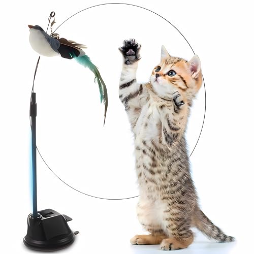 Retoo Katzenspielzeug Selbstbeschäftigung Katzenangel mit Saugnäpfen mit Vogel mit Federn Katzenspielzeug Set für Kätzchen und Katzen Natürlich Interaktives Intelligenz Versenkbare stabil Langlebige S Retoo Katzenspielzeug Selbstbeschäftigung Katzenangel mit Saugnäpfen mit Vogel mit Federn Katzenspielzeug Set für Kätzchen und Katzen Natürlich Interaktives Intelligenz Versenkbare stabil Langlebige S von Retoo