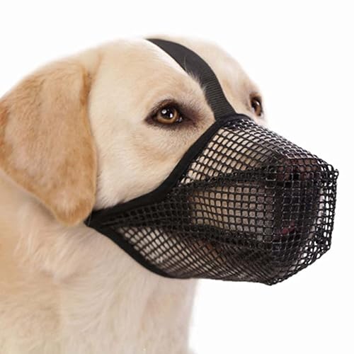 Reuvv Maulkorb für Hunde, vollständig abgedeckt, Air-Mesh-Maulkorb, vergiftet, schützender Maulkorb mit verstellbaren Riemen, kein Beißen, Bellen, Kauen, Lecken Reuvv Maulkorb für Hunde, vollständig abgedeckt, Air-Mesh-Maulkorb, vergiftet, schützender Maulkorb mit verstellbaren Riemen, kein Beißen, Bellen, Kauen, Lecken von Reuvv