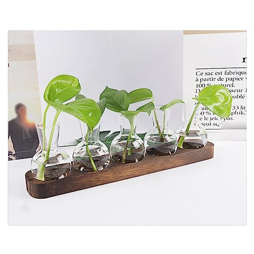 Reuvv Pflanzenvermehrungsstationen, Desktop-Hydrokultur-Pflanzen-Terrarium, klares Wasser, Pflanzgefäße aus Glas für die Dekoration im Home-Office-Arbeitszimmer von Reuvv
