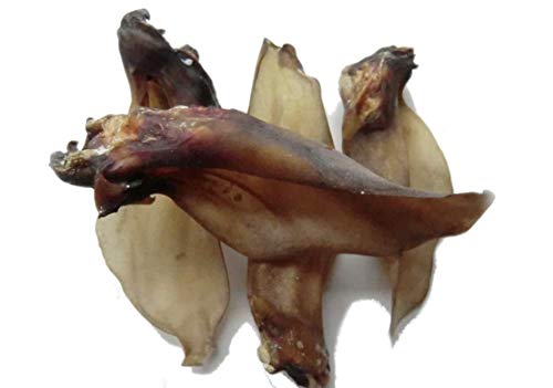 Kaureks Natur Hundeleckerlies, Hirschohren mit Muschel 10 Stück, wie Pferdeohren, Schweineohren, Kauartikel Kaureks Natur Hundeleckerlies, Hirschohren mit Muschel 10 Stück, wie Pferdeohren, Schweineohren, Kauartikel von Kaureks Natur Hundeleckerlies