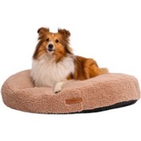 Rexproduct Coco Teddy M Rexproduct Coco Teddy M von Rexproduct