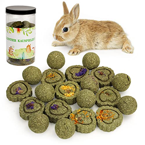 20 Stück Kaninchen Spielzeug, Meerschweinchen Kauspielzeug Timothy Heukuchen Kleintiere Zahnpflege Timothy Heu Kauball Snacks für Häschen Chinchilla Meerschweinchen Rennmäuse Hamster 20 Stück Kaninchen Spielzeug, Meerschweinchen Kauspielzeug Timothy Heukuchen Kleintiere Zahnpflege Timothy Heu Kauball Snacks für Häschen Chinchilla Meerschweinchen Rennmäuse Hamster von Reyshin
