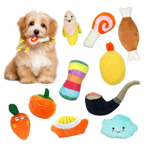 Reyshin 10 Stück Quietschspielzeug Plüsch Hundespielzeug, Obst Snacks und Gemüse für Hunde Quietschendes Spielzeug für Haustier Interaktives Spielzeug für Hunde (H02) von Reyshin