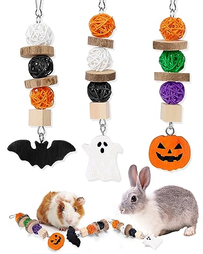 Halloween Kaninchen Spielzeug Nager Kauspielzeug für Kleintiere Hamster Hase Kaninchen Meerschweinchen Zwerghamster Chinchilla Gerbil Haustier Ratte Käfig hängend Zähne Pflege Zubehör von Rhdekoein