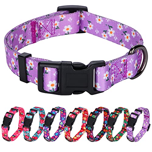 Rhea Rose Daisy Girl Hundehalsband, Floarl-Design, für mittelgroße Hunde, Violett von Rhea Rose