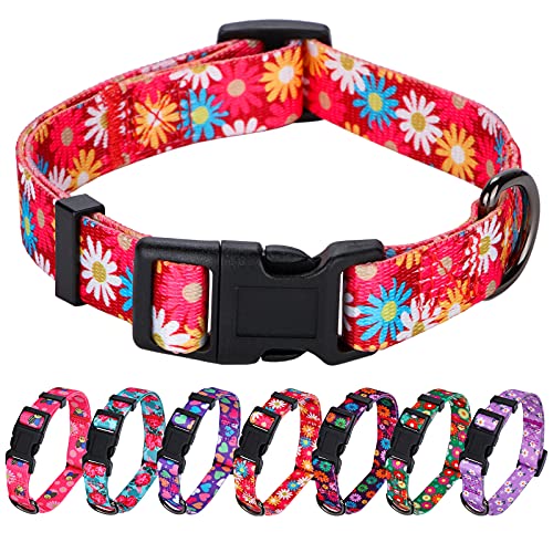 Rhea Rose Girl Hundehalsbänder Cute Red Daisy Collar, Frühlings- und Sommerblume für kleine Hunde von Rhea Rose