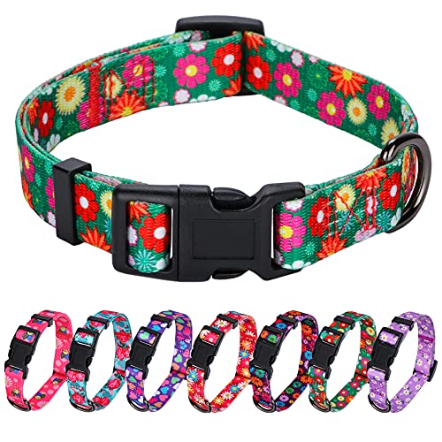 Rhea Rose Girl Hundehalsbänder Summer Daisy Flower Pattern, Small, Grün von Rhea Rose