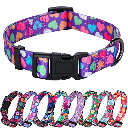 Rhea Rose Hundehalsbänder für Mädchen, Frühlings-Design, niedliches Herzmuster, hübscher Druck, Violett für mittelgroße Hunde von Rhea Rose