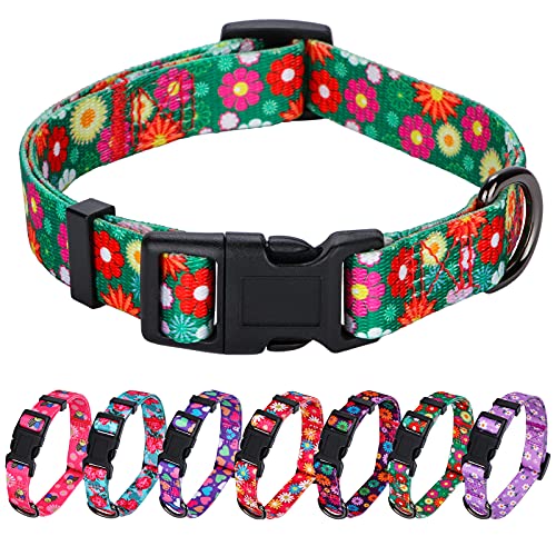 Rhea Rose Hundehalsbänder für Mädchen, Sommer-Gänseblümchen-Muster, verstellbar, für Welpen, Größe M, Grün von Rhea Rose