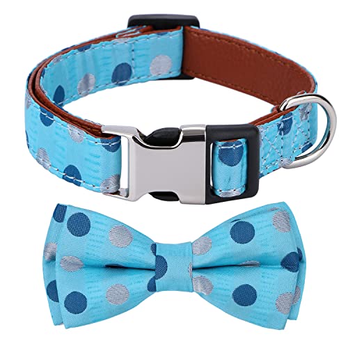 Rhea Rose Bowtie Hundehalsband, Blaue Punkte, mittelgroß von Rhea Rose