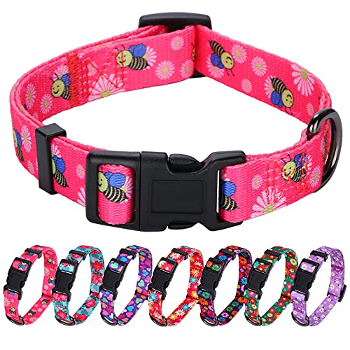 Rhea Rose Rosa Hundehalsband Summer Daisy and Bees Print für mittlere Hunde von Rhea Rose