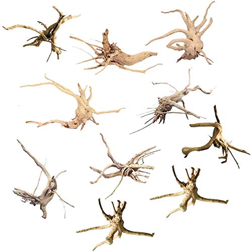 Rheross Mini Treibholz für Aquarium Zweige Aquarium Dekorationen Reptilien Stamm Treibholz Sortiert (10 Pack) von Rheross