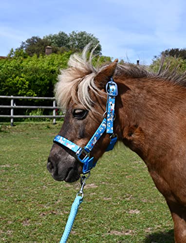 Rhinegold Einhorn Halfter und Seil Set – Shetland – Türkis von Rhinegold