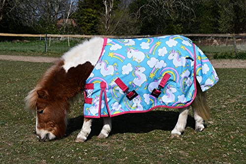 Rhinegold Einhorn Torrent Outdoor Teppich – 3/6 Rhinegold Einhorn Torrent Outdoor Teppich – 3/6 von Rhinegold