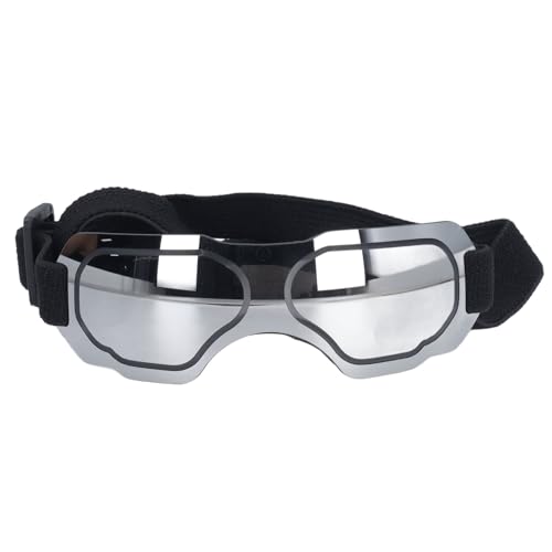 Hundebrille Windfeste Sonnenbrille für Kleinen Hund (BLACK) (Rot) (BLUE) (SILVER) von RiToEasysports