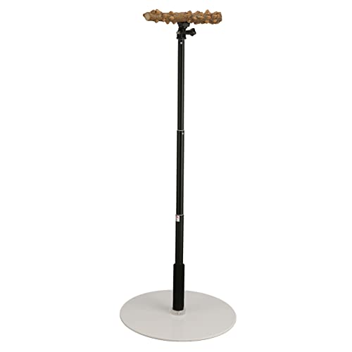 RiToEasysports Einstellbare Barsch -Vereinbarung und Nicht Tragbare Ständige Vögel für Innenreisen Im Freien RiToEasysports Einstellbare Barsch -Vereinbarung und Nicht Tragbare Ständige Vögel für Innenreisen Im Freien von RiToEasysports