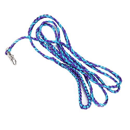 RiToEasysports Kleiner Haustier Nylon Geflochten (Blauer und violetter Farbverlauf) von RiToEasysports