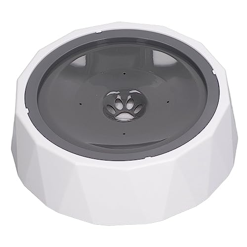 Langsamer Wasserspender, Große Kapazität, Staubdicht, Auslaufsichere, Im Fahrzeug Mitgeführte Wasserflaschen mit Ersatzfilter für Haustiere, Hunde und Katzen (Typ 1) von RiToEasysports