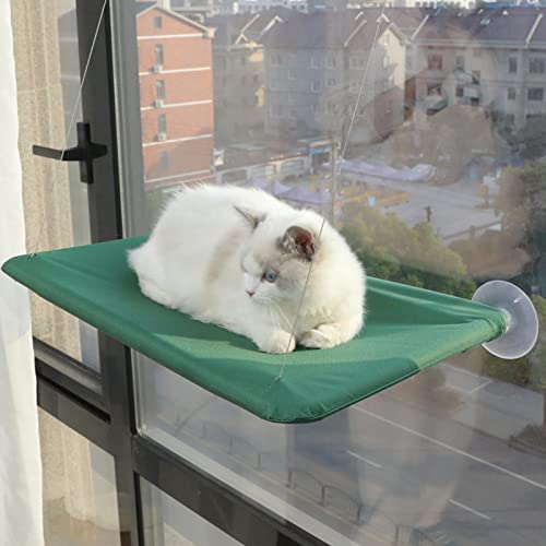 RiToEasysports Sitzstange für Katzenfenster, Saugnäpfe, Fensterhängematte, Katzenbett, Fenster für Glasfenster und Innenwände für Große Katzen (Grün) von RiToEasysports
