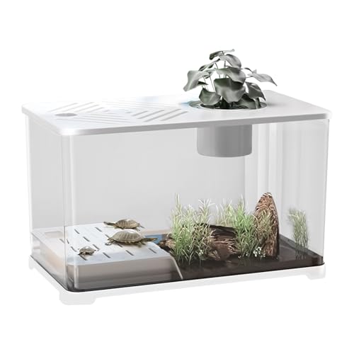 Betta Fish Tank, Large Aquarium, 15.55x8.86x8.46 inches, Gold Tank Starter Kit, Modern Panoramic HD Container, Desk Decor, Desktop for Guppy Shrimp Turtle Habitat Betta Fish Tank, Large Aquarium, 15.55x8.86x8.46 inches, Gold Tank Starter Kit, Modern Panoramic HD Container, Desk Decor, Desktop for Guppy Shrimp Turtle Habitat von Riaisttd