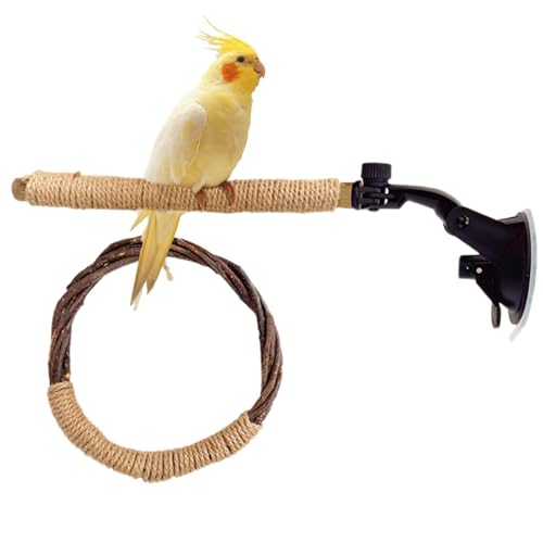 Cockatiel Perch with Suction Cup, Wooden Bird Perch Stick Chew Toy, Round Swing Play Stand, Natural Wood for Parrots, Macaws, Budgies, Sparrows, Small and Medium Birds Cockatiel Perch with Suction Cup, Wooden Bird Perch Stick Chew Toy, Round Swing Play Stand, Natural Wood for Parrots, Macaws, Budgies, Sparrows, Small and Medium Birds von Riaisttd